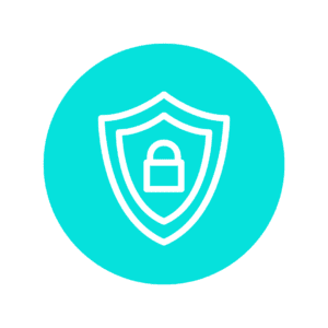 Cybersecurity icon