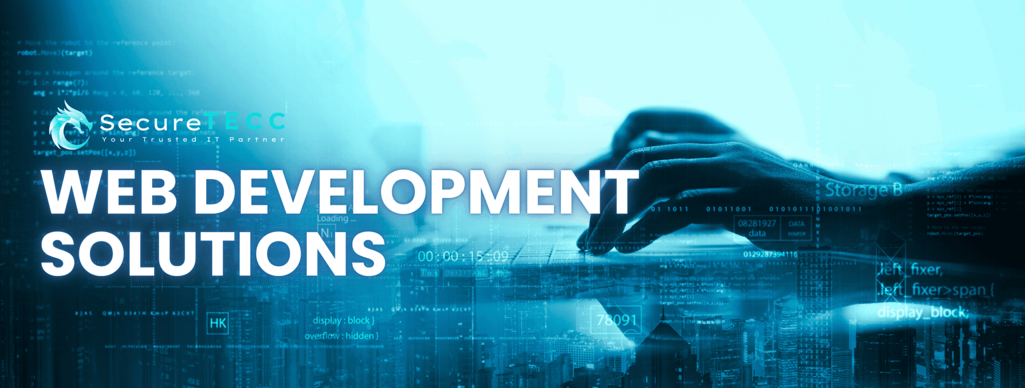web development solutions