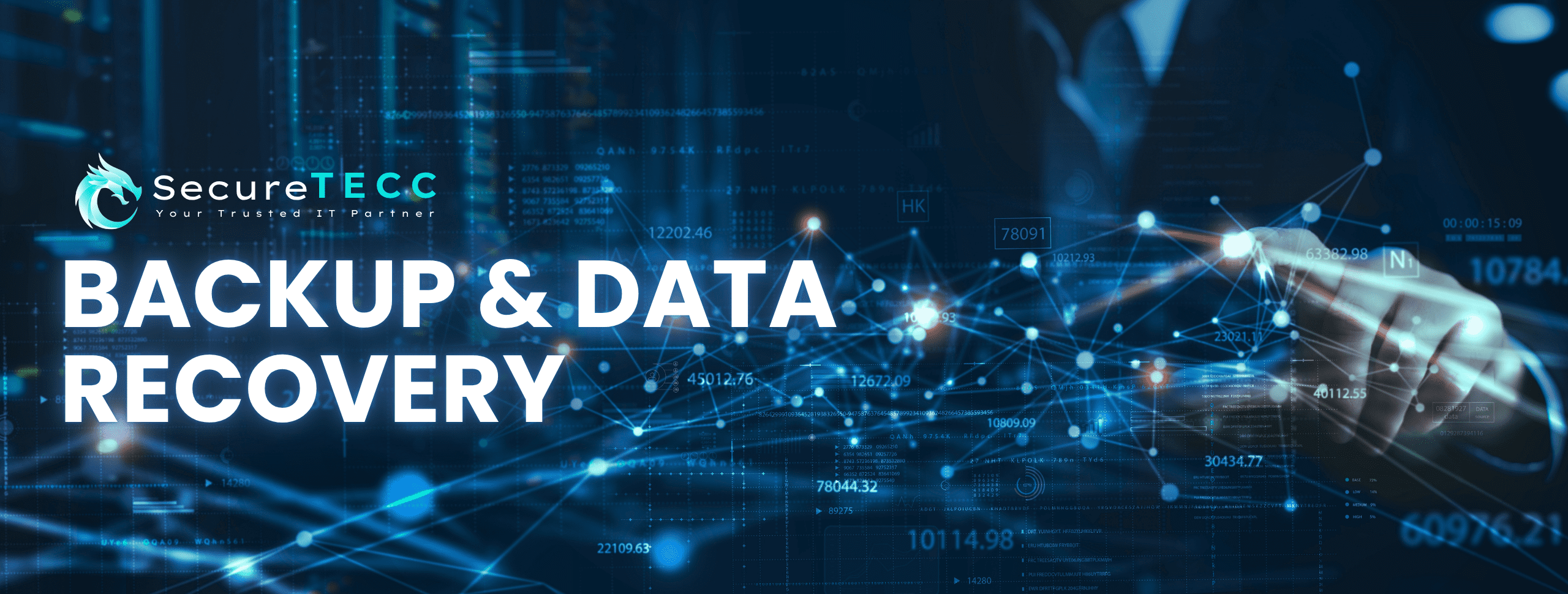 Backup & Data Recovery