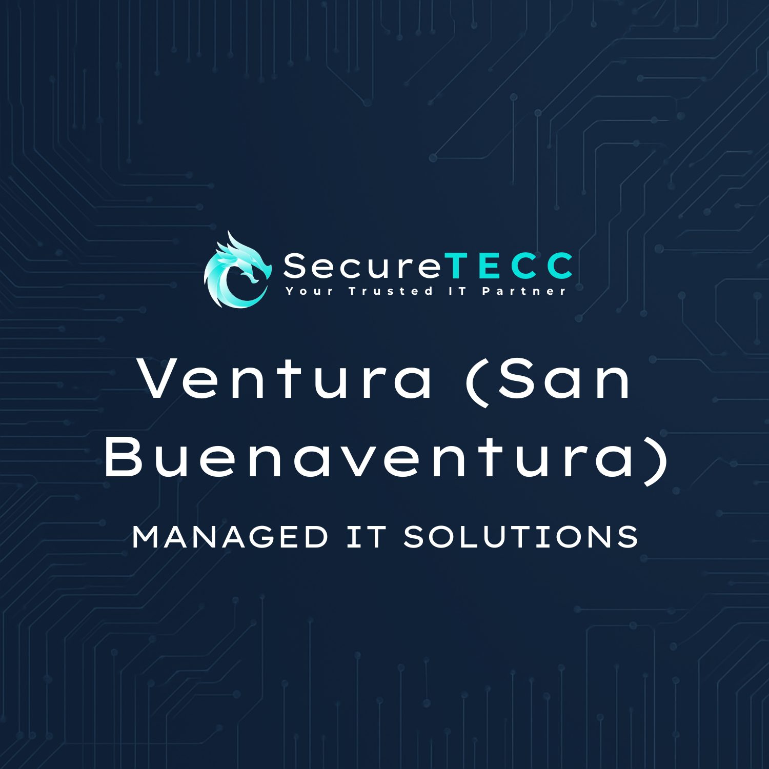 Ventura (San Buenaventura) | Managed IT Solutions