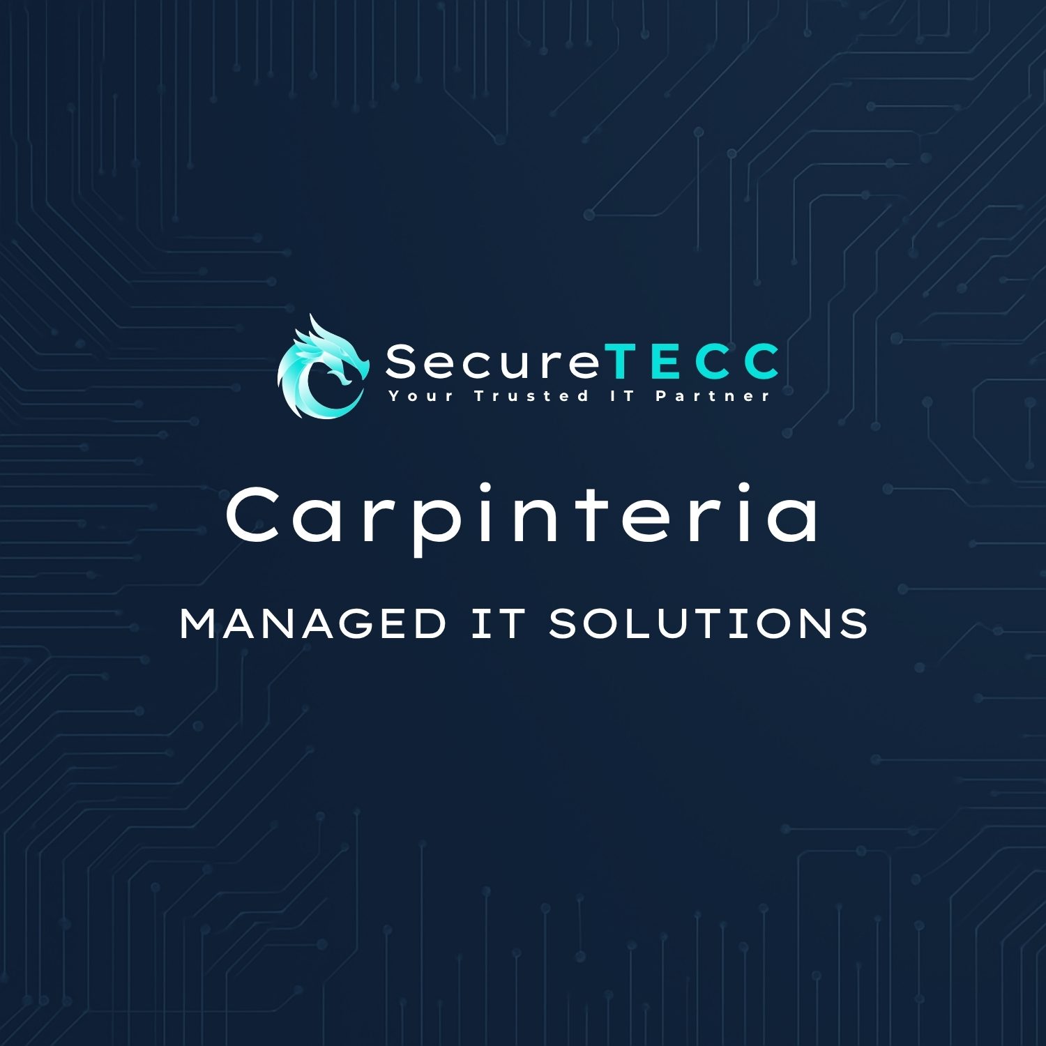 Carpinteria | Managed IT Solutions