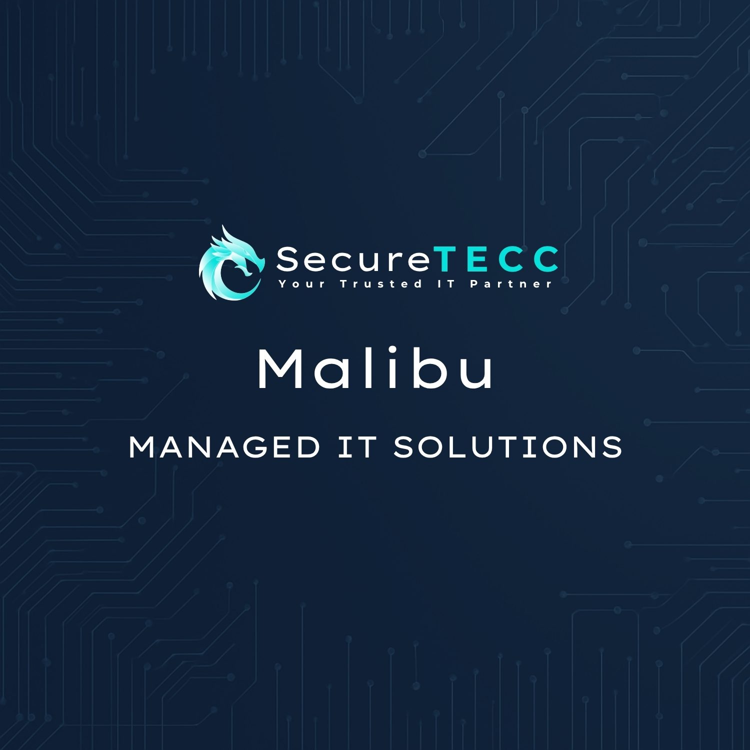 Malibu | Managed IT Solutions
