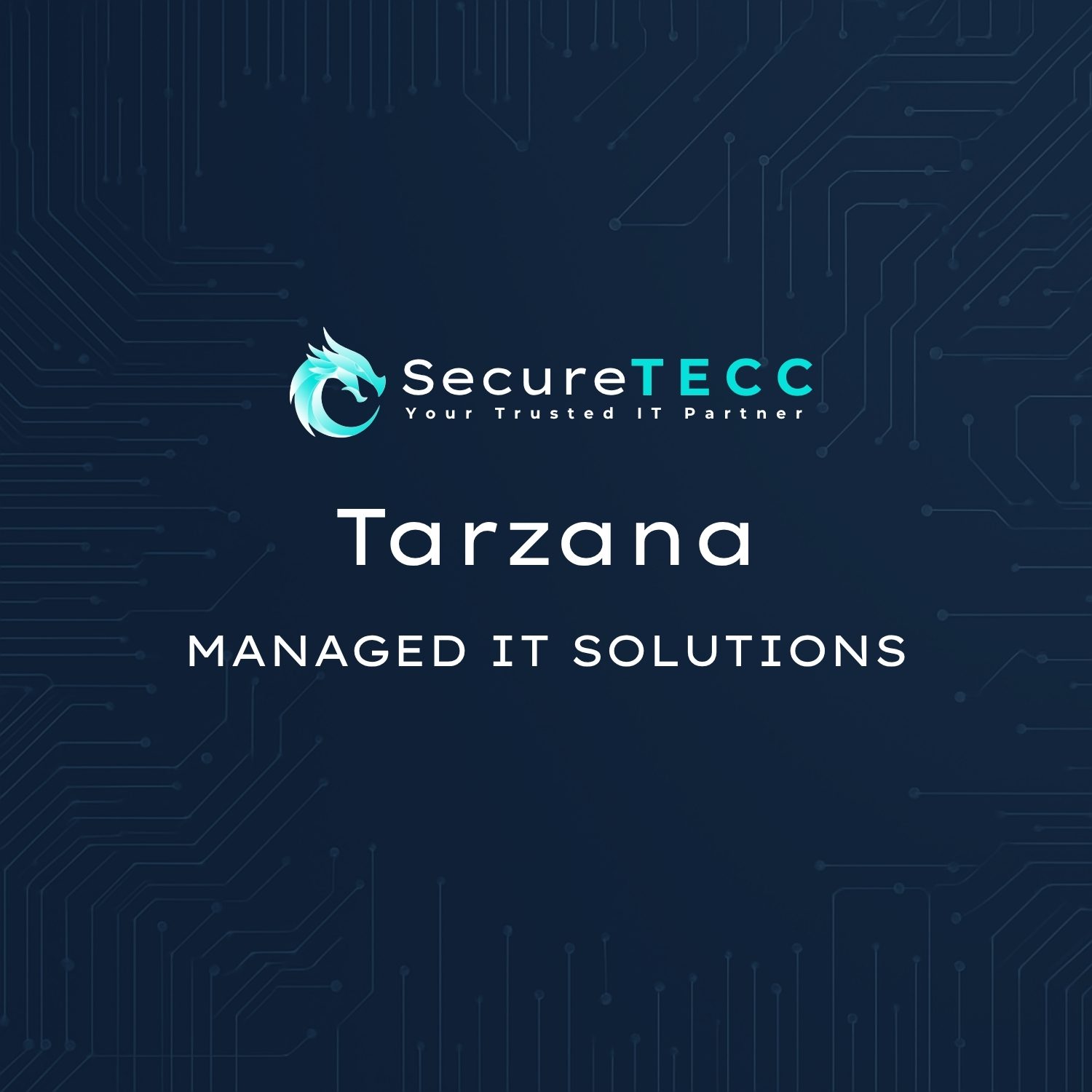 Tarzana | Managed IT Solutions