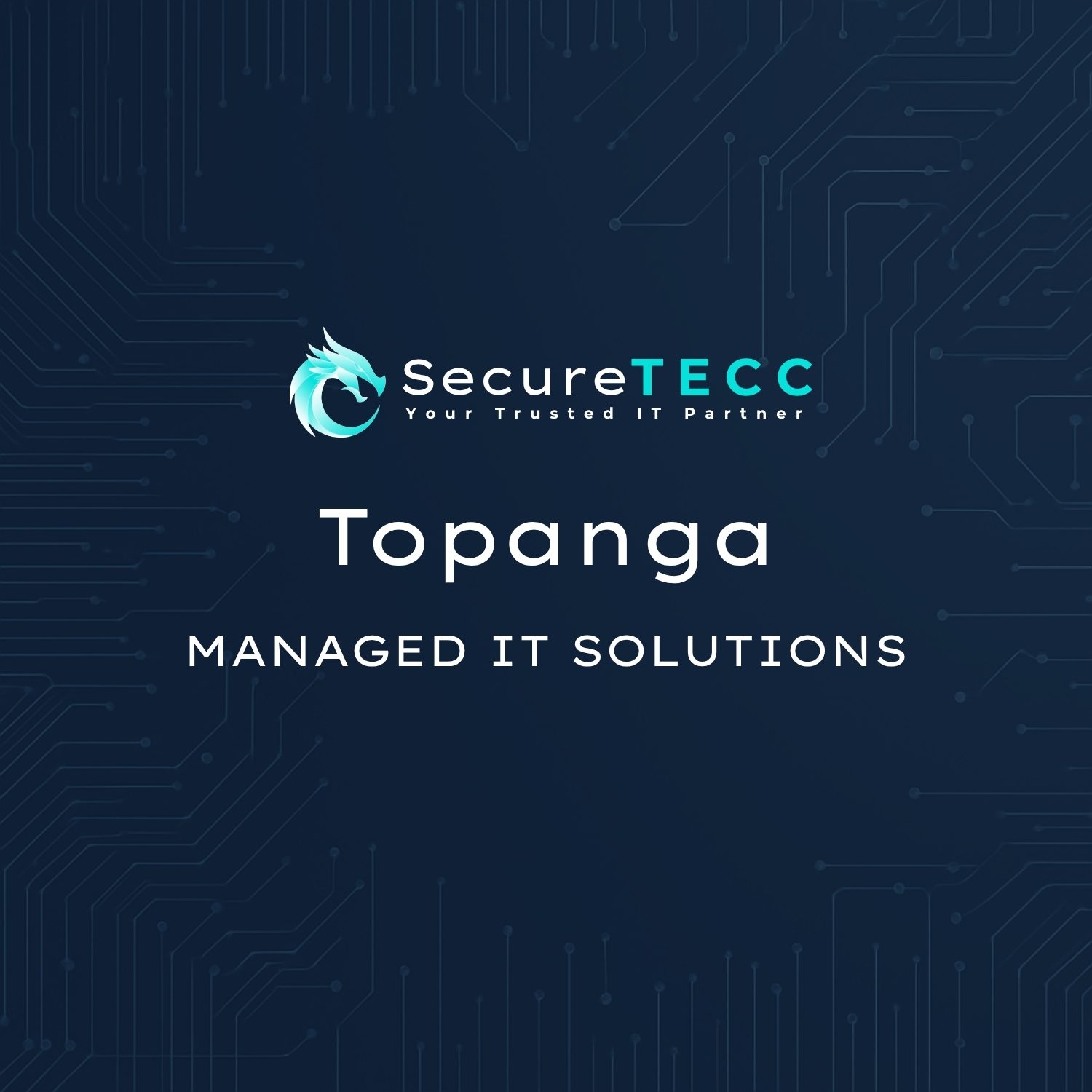 Topanga | Managed IT Solutions