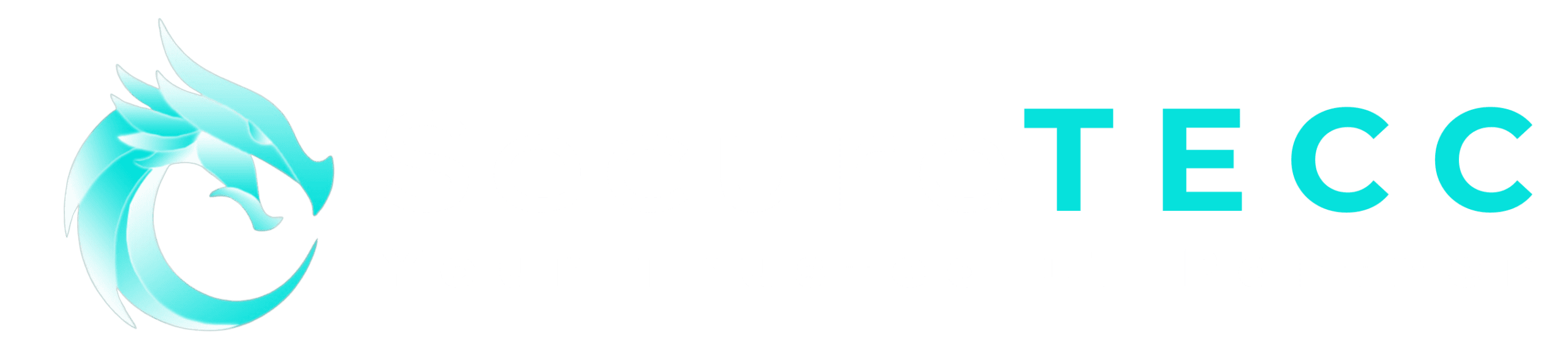 SecureTECC Solutions - Your Trusted IT Partner